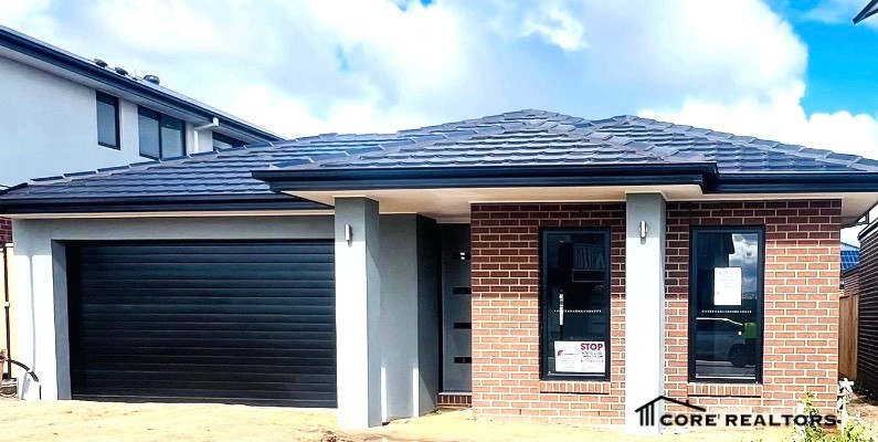 176471512889022745-rsd