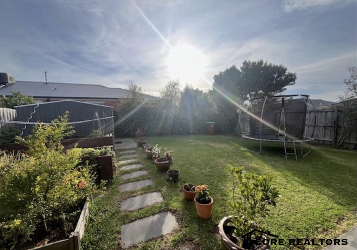 177417613553393177-rsd